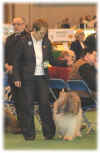 Stubbis Crufts 2005 - 11.jpg (22387 bytes)