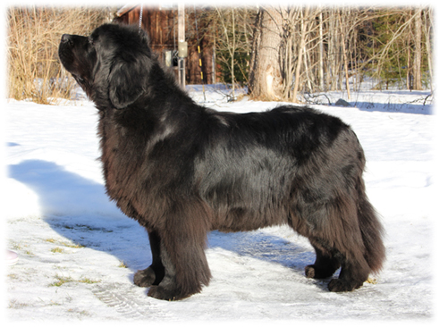 Smilla 9 �r - helt underbar =)